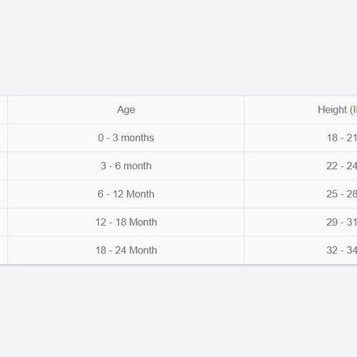 Rabit skins size chart